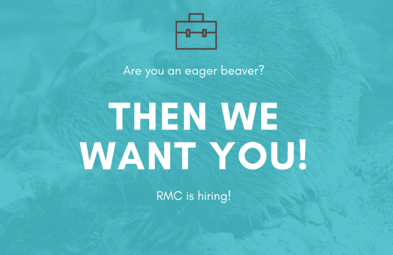 Blue and Brown Job Post Vacancy Announcement Facebook Post